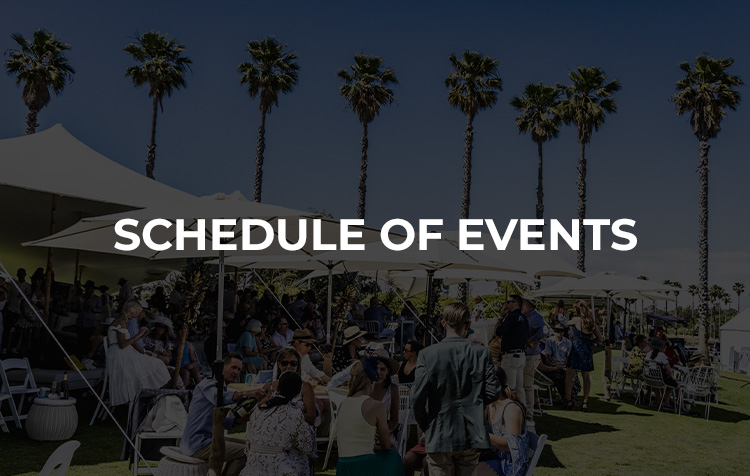 Equestrian In the Park Schedule of Events button