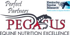 KER Pegasus logo